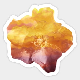 Orange Cloud Flower Sticker